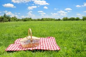 Image result for picnics