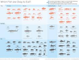 Information Is Beautiful Which Fish Are Good To Eat