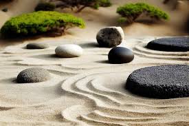 Sand Plants In Japanese Garden Background