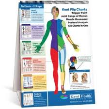 Buy Trigger Points Head Torso Perma Chart 2nd Edition