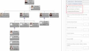 Displaying Vacant Or Temporary Positions In The Organization