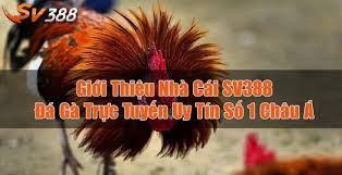 Thôn Phệ Tinh Không Phần 3