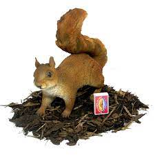 Red Squirrel Resin Garden Ornament