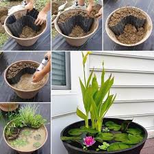 Amazing Small Container Pond Tutorial
