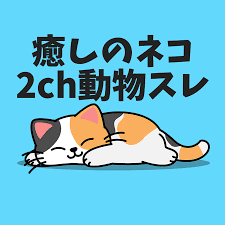 癒しのネコ 2ch動物スレ - YouTube