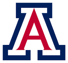 2019 Arizona Wildcats Football Team Wikipedia
