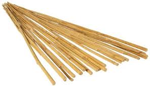 Do you agree with stake's star rating? Amazon Com Hydrofarm Hgbb3 3 Natural Pack Of 25 Bamboo Stake Tan Garden Stakes Garden Outdoor