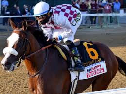 Not only do they share the same trainer. Kentucky Derby 2020 Odds Tiz The Law Horse Racing News