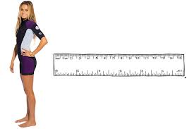 the wetsuit size chart