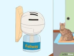 prevent cats from on carpet