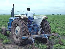 Image result for Nigeria agricultural projects by donor partners