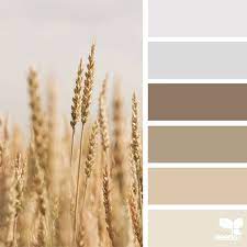 Design Seeds Color Palette