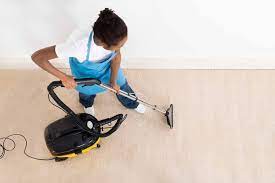 professional carpet cleaner in