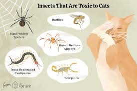 insects that are toxic to cats