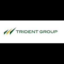 Trident Group Crunchbase