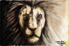 how to draw a lion face drawingnow