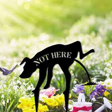 Personalized Funny Not Here Dog Garden