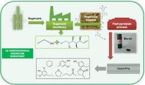 sugarcane bage for fuel and chemical