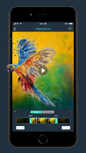 video 2 live wallpaper maker for iphone