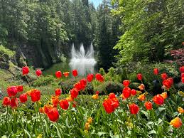 butchart gardens a must see for