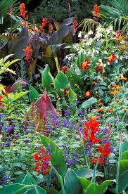 the most beautiful flowering plants for