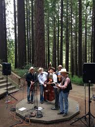 redwood grove summer concerts couple