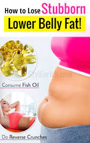 how to lose the lower belly fat fast