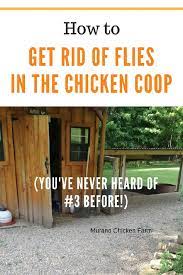 keep flies out of en coop murano