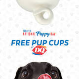 whats-in-a-dairy-queen-pup-cup