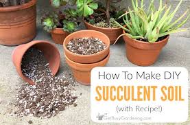 How To Make Your Own Succulent Soil