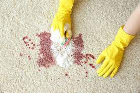 remove blood stains from carpet