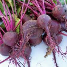 Beet Varieties Garden Org