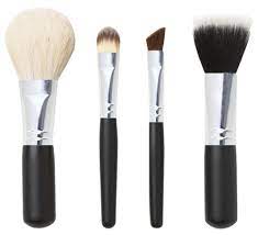mineral makeup brush set