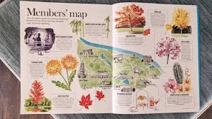 map of kew gardens by willa gebbie