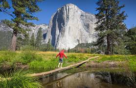 to yosemite national park guided tour