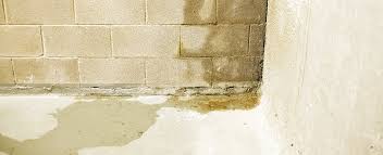 Leaking Basement Troubleshooting For