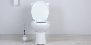 how to unclog a toilet or sink without