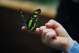 Бабочка на руке - 58 фото: смотреть онлайн
