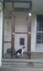 Catio S Every Cat Owner Should Know