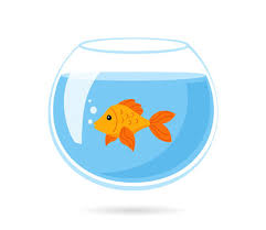 fishbowl clipart images browse 1 052