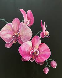 pink orchid painting by iryna glazunova