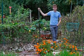 swallow garden that helps food pantries