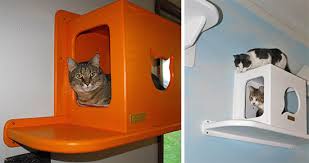 Enter To Win A Cat Tunnel From The