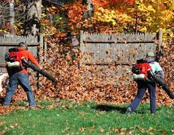 Spring Fall Cleanup Services For