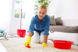 a reliable carpet cleaner in salt lake