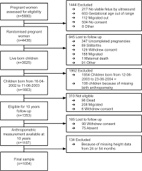 Flow Chart Of Children Participating In The Minimat Trial