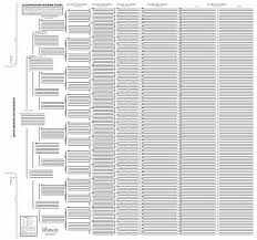 Treeseek 15 Generation Pedigree Chart Blank Genealogy