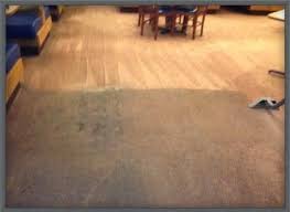 photo gallery thorough carpet cleaning
