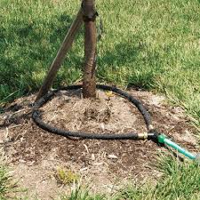Soaker Hose Drip Irrigation Tree Ring