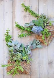small succulent wall planter 1001 gardens